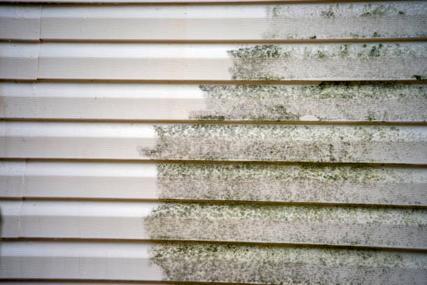 Best Hoarding Cleanup  in Walthourville, GA